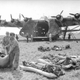Illustration for article titled This Giant Nazi Plane Was The Largest Land-Based Transport Of WWII